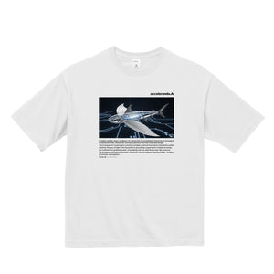 t_059 透過するトビウオ white image