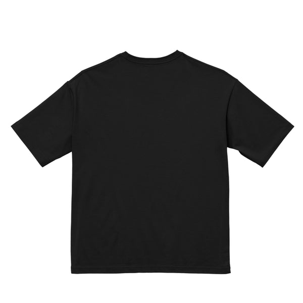 t_061 脈獣 Lumen Beastの走路 black image